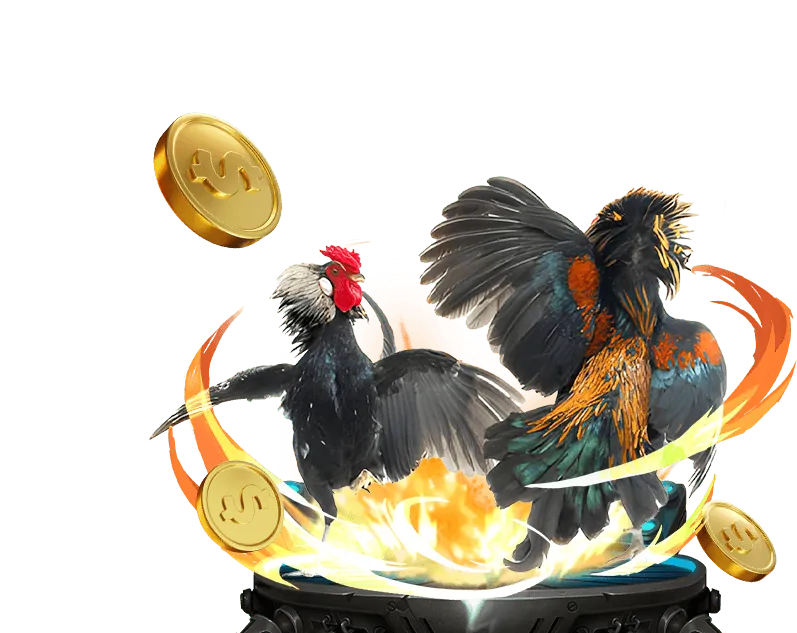 Quan Sát Quy Luật Cá